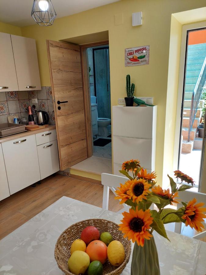 Mexicana Apartment Yellow ซาดาร์ ภายนอก รูปภาพ