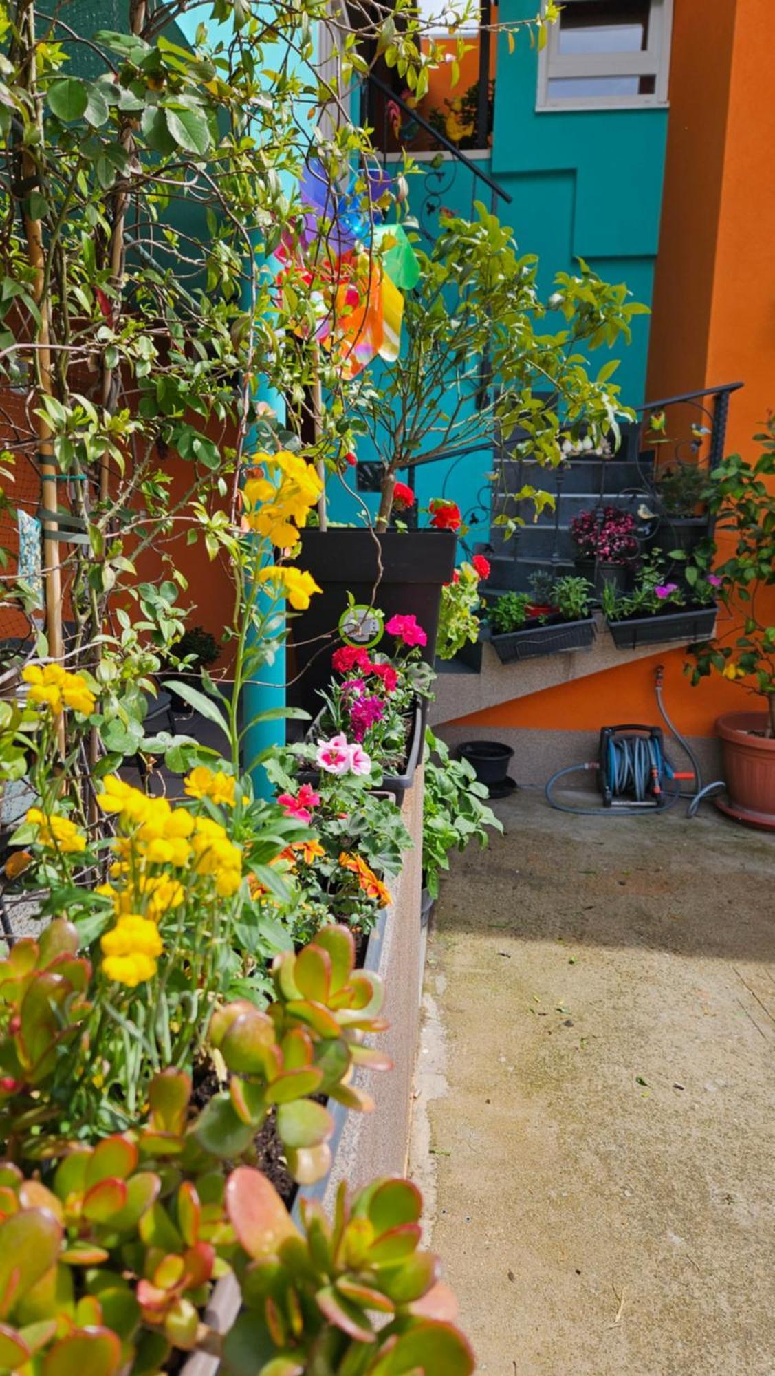 Mexicana Apartment Yellow ซาดาร์ ภายนอก รูปภาพ