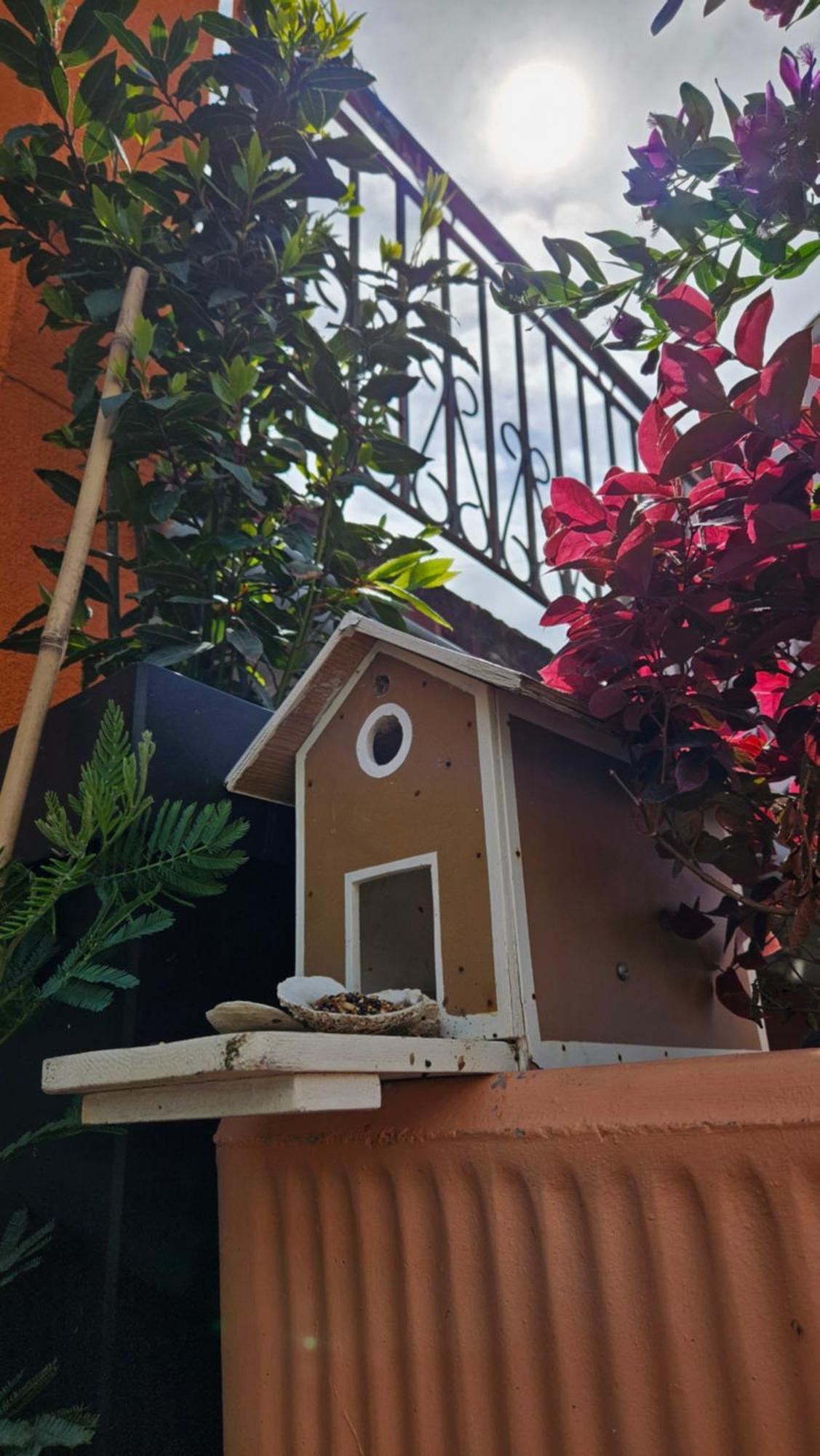 Mexicana Apartment Yellow ซาดาร์ ภายนอก รูปภาพ